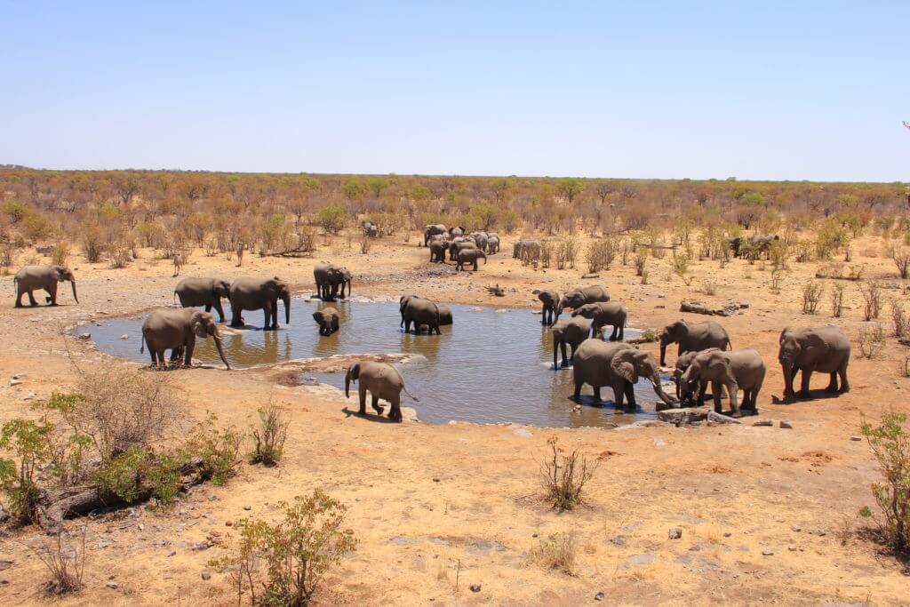 Etosha National Park